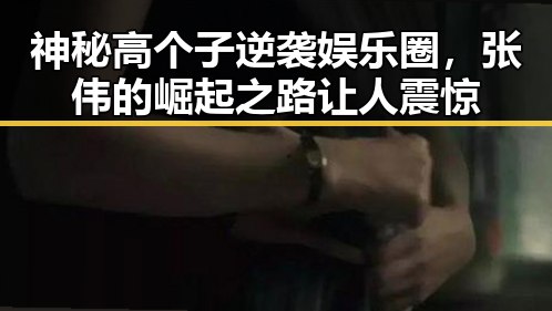 神秘高个子逆袭娱乐圈，张伟的崛起之路让人震惊