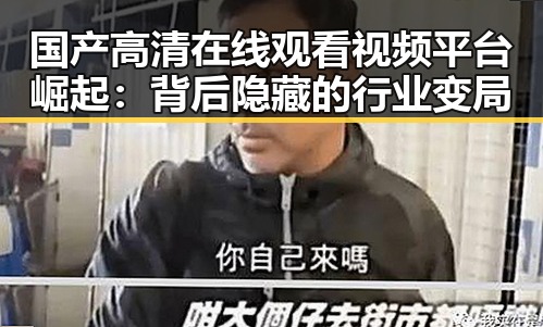 国产高清在线观看视频平台崛起：背后隐藏的行业变局