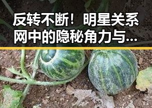 反转不断！明星关系网中的隐秘角力与变局