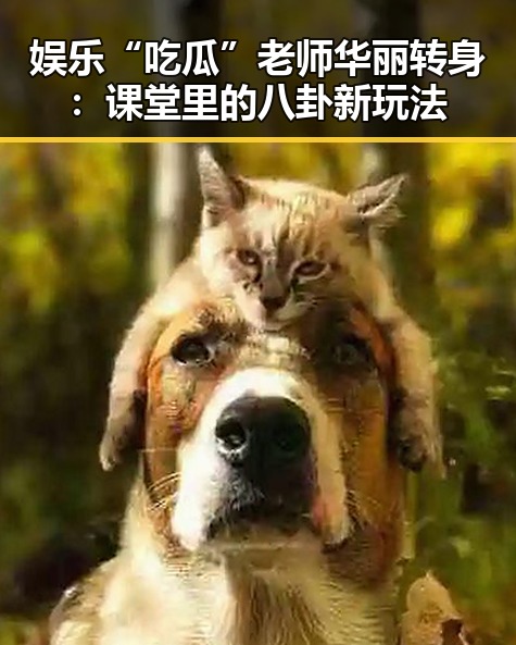 娱乐“吃瓜”老师华丽转身：课堂里的八卦新玩法